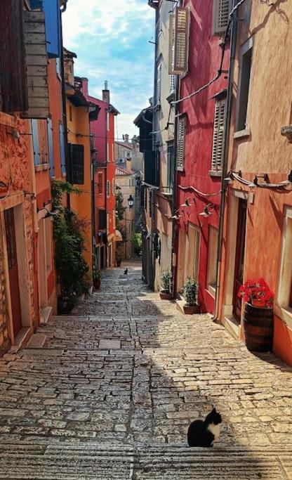Little Heaven Appartement Rovinj Buitenkant foto